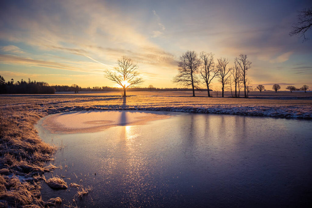 Прекрасный замерзший пруд в сельской местности в утренний золотой час. Зимний пейзаж Северной Европы. Ранний зимний пейзаж с деревьями и льдом в пруду. - Фото, изображение