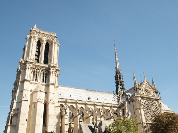 Сені собору Паризької Богоматері у Парижі - Фото, зображення