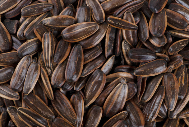 organic sunflower seed for background uses - Photo, Image