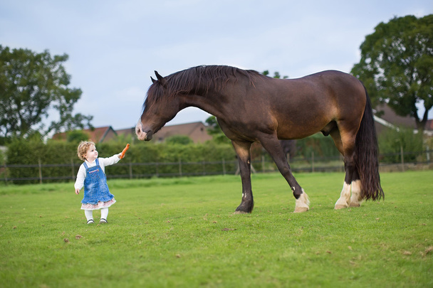 Mignon petit bébé fille nourrir un gros cheval
 - Photo, image