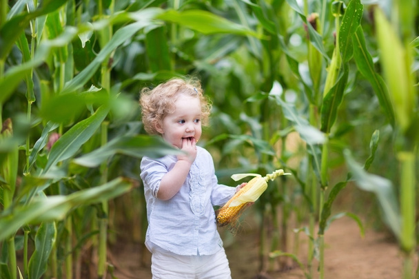 Tyttö leikkii maissipellolla
 - Valokuva, kuva