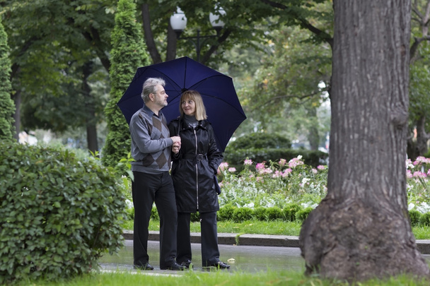 Mature couple walking in a park - Foto, afbeelding