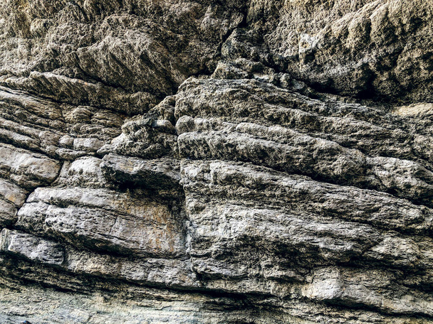 Yüksek sarp deniz kıyısında katmanlı bir kaya. Yüksek kalite fotoğraf - Fotoğraf, Görsel