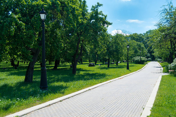 recreation park with footpath and lantern and trees - Фото, зображення