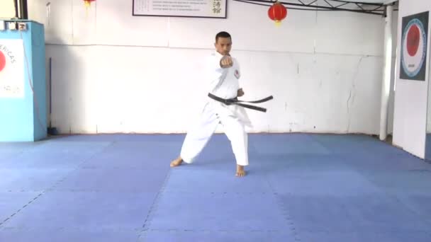 karatista cvičení se pohybuje v karate - Záběry, video