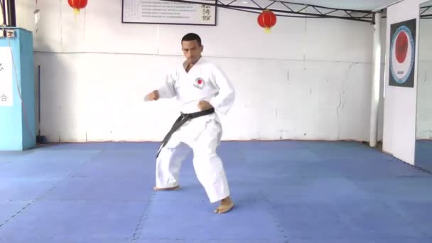 Hombre de artes marciales en kimono ejerciendo karate kata
. - Imágenes, Vídeo