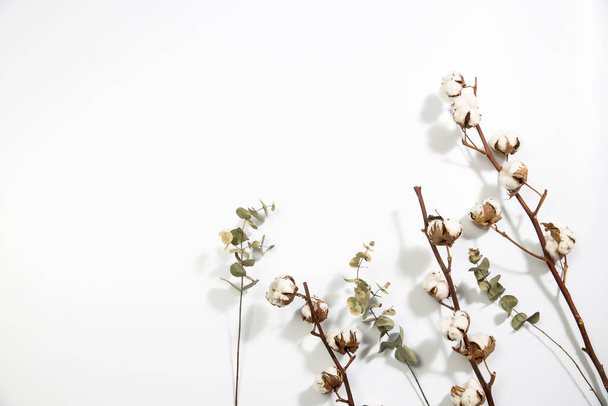 Trockene Baumwollblüten und Eukalyptuszweige auf weißem Hintergrund. Leerer Raum. Kopierraum - Foto, Bild