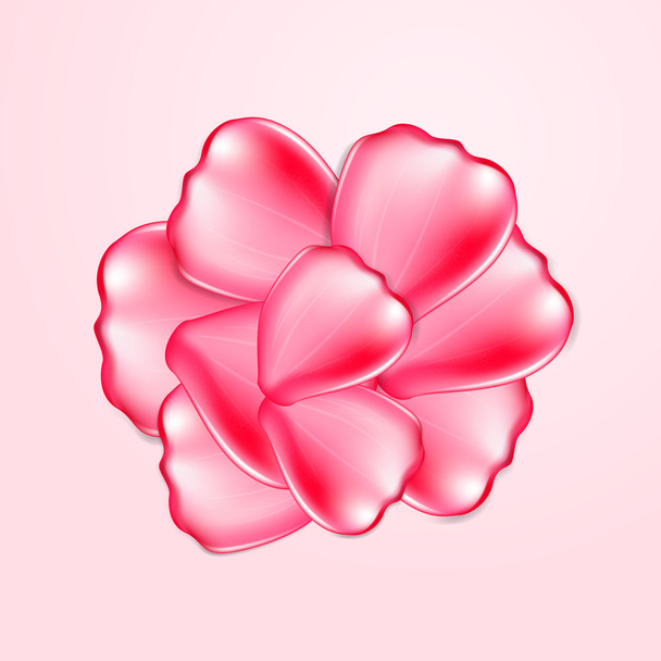 Beautiful pink rose petals - Vector, afbeelding