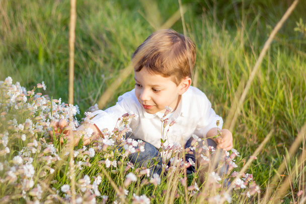 Joyeux mignon enfant cueillette des fleurs dans un champ
 - Photo, image
