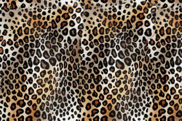 fond motif peau léopard
 - Photo, image