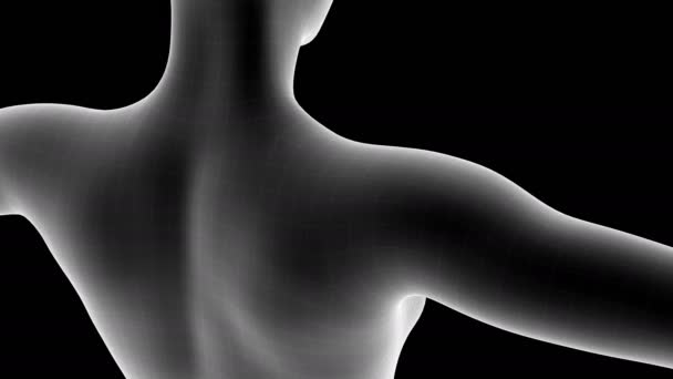 3D анимация женской рентгеновской голограммы, показывающей область боли на плече с альфа-каналом - Кадры, видео