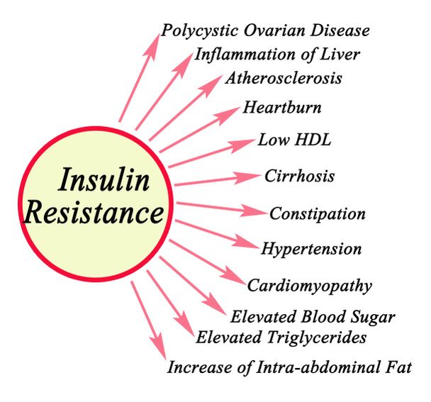  Twelve Consequences of Insulin Resistance - Photo, Image