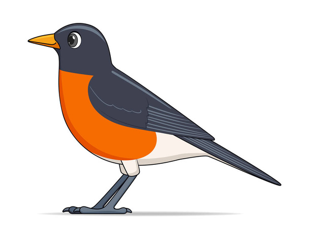American robin bird on a white background. Cartoon style vector illustration - Vector, Image
