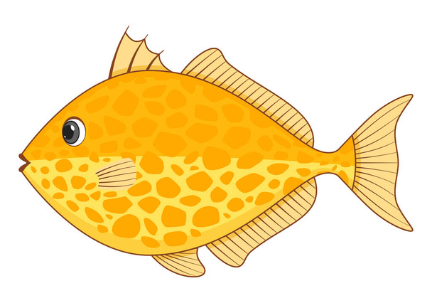 Pesce balestra stellato su sfondo bianco. Illustrazione vettoriale stile cartone animato - Vettoriali, immagini