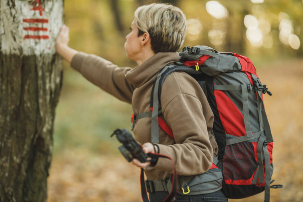 Shot of a worried mature woman using hiking trail sign on a tree during walk through the forest in autumn. - Photo, Image