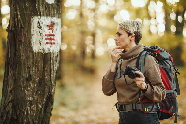 Aufnahme einer besorgten älteren Frau mit Wanderwegschild an einem Baum bei einem Waldspaziergang im Herbst. - Foto, Bild
