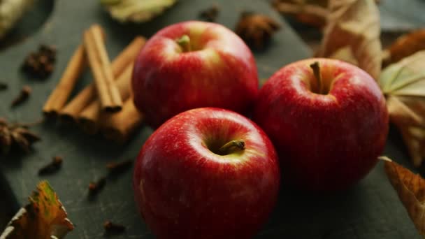 Herkullisia tuoreita punaisia omenoita, jotka on sijoitettu kanelilla ja aniksella tummalle puupöydälle - Materiaali, video