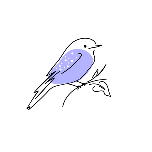 Colorido pájaro dibujado a mano. Doodle. Línea negra sobre fondo blanco. Ilustración vectorial. - Vector, imagen