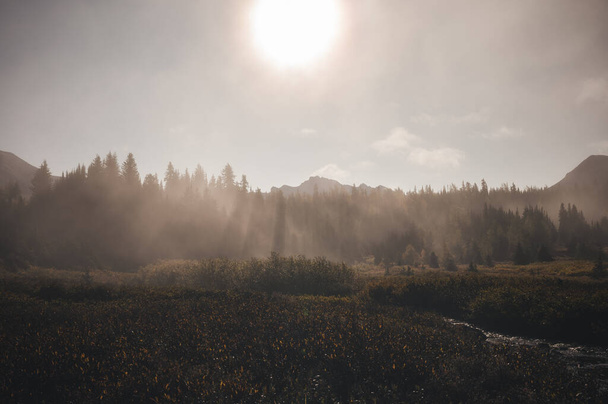Сцена гор Рокки с туманом в осеннем лесу утром в провинциальном парке Ассинибуане, Канада - Фото, изображение