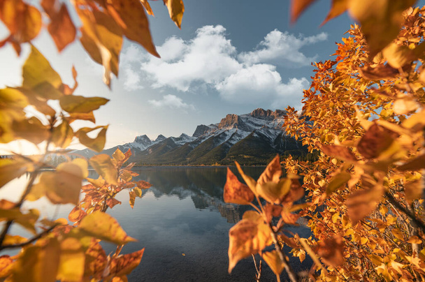 Salida del sol en el monte Lawrence Grassi con la reflexión de las hojas de otoño sobre el embalse de Rundle Forebay en Canmore, Canadá - Foto, imagen
