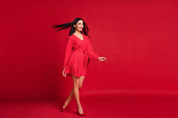 Full length body size view of elegant chic luxury cheerful lady going wind blowing hair isolated over bright red color background - Zdjęcie, obraz