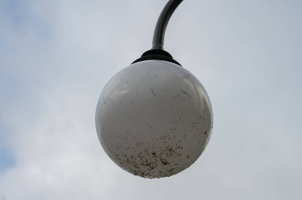 bílá lampa proti obloze - Fotografie, Obrázek