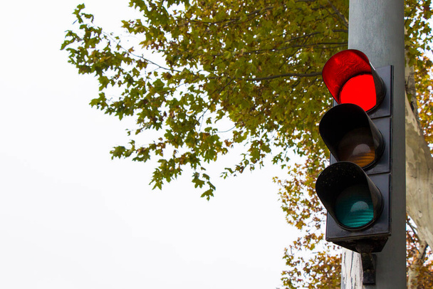 Светофор, красный светофор крупным планом - Фото, изображение