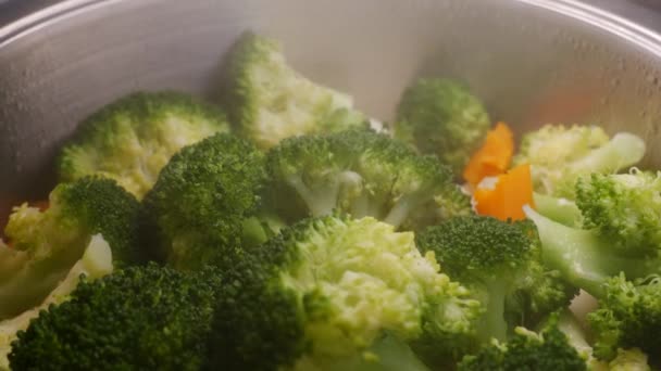 Brokkoliröschen sehr grün grün gesund und bereit, mit Karotten und Blumenkohl balnca mega gesund kochen - Filmmaterial, Video