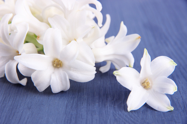 White hyacinth on wooden background - Fotó, kép