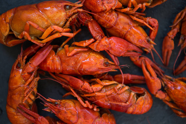 Red boiled crawfishes on table in rustic style, closeup. Lobster closeup. - 写真・画像