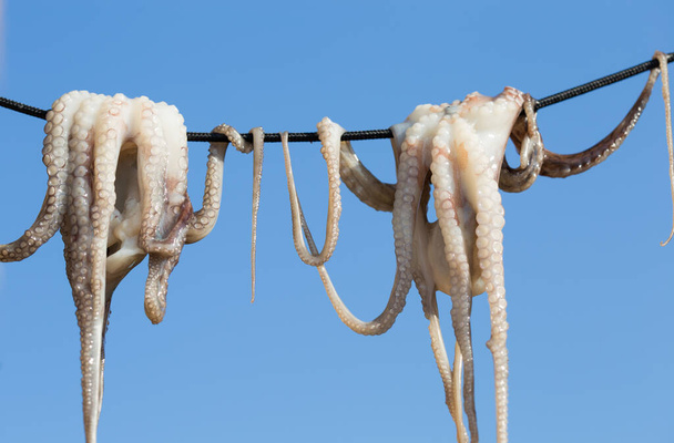 Perinteinen kreikkalainen meriruoka, kuiva mustekala, Kreikka - Valokuva, kuva