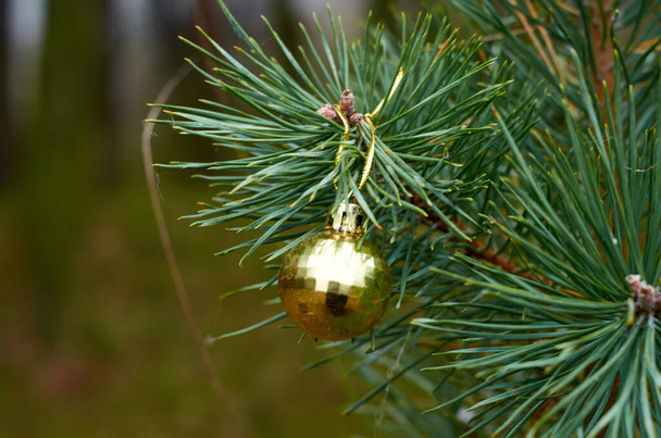Juguete de Navidad solo amarillo en el árbol de cerca - Foto, Imagen