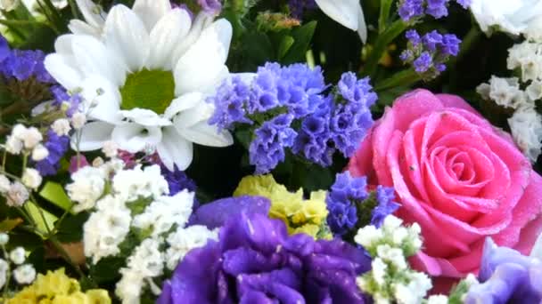Ένα όμορφο κομψό μπουκέτο από διάφορα πολύχρωμα λουλούδια μαργαρίτες, τριαντάφυλλα, αποξηραμένα λουλούδια. Εορταστική νυφική ανθοδέσμη από λευκά, ροζ, μπλε, μοβ, κίτρινα λουλούδια - Πλάνα, βίντεο