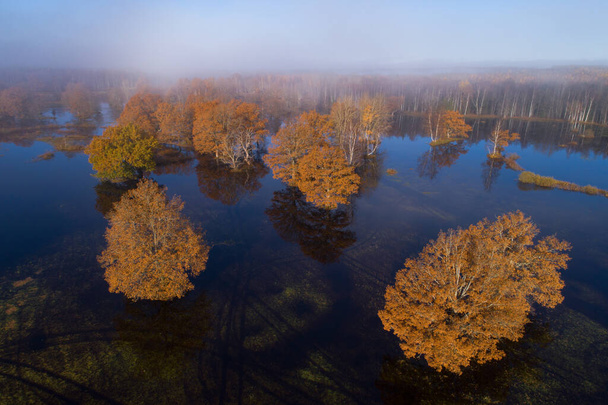 Soomaa Ulusal Parkı. Kuzey Avrupa 'da Estonya doğasında beşinci sezon olarak da bilinen sonbahar yeşillikleri ve sel baskınları sırasında ağaçlık arazinin havadan görünüşü. - Fotoğraf, Görsel