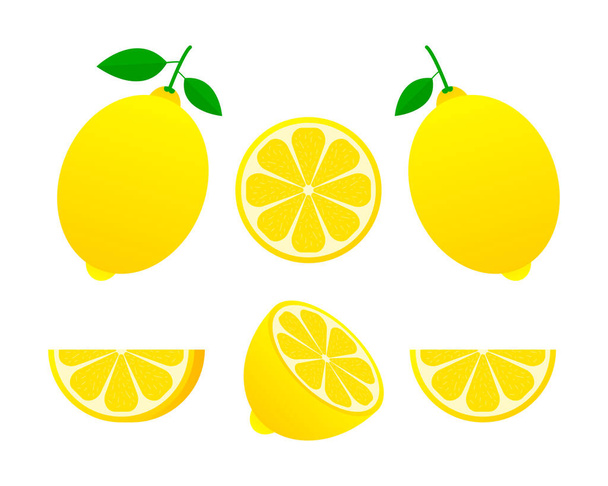 Свежие лимонные фрукты, коллекция векторных иллюстраций - Вектор,изображение