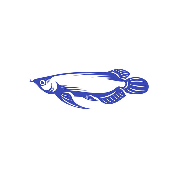 Arowana fish logo vector template, Creative Arowana fish logo design concepts, icon symbol, illustration - Vecteur, image
