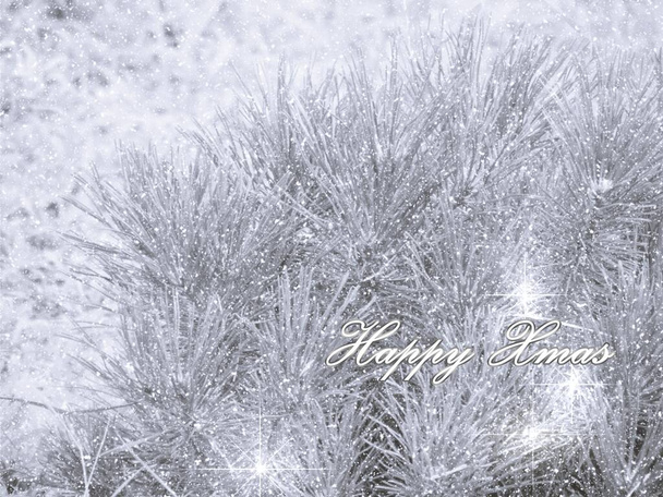 black and white photo for Xmas wishes with mountain pine and glow and snow in background - Photo, Image