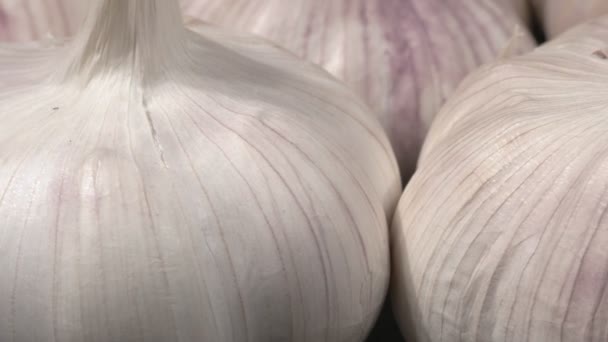 Organic garlic close-up. Lots of garlic. - Footage, Video