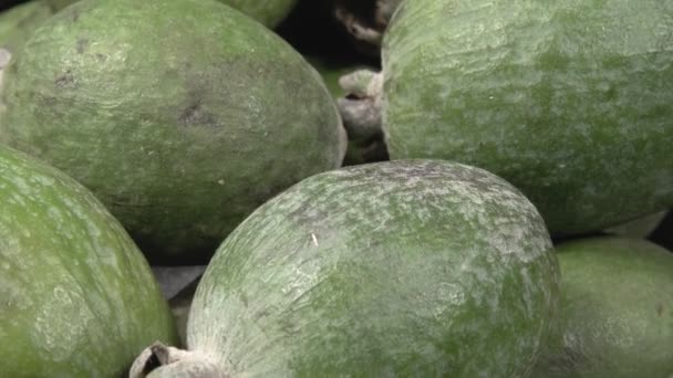 Feijoa close-up. Many organic fruit.Feijoa close-up. Organic fruit. Ripe healthy fruit. - Footage, Video