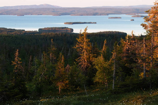 Blick auf den Kitka-See und den sommerlichen Taiga-Wald vom Riisitunturi-Nationalpark während eines wunderschönen Sonnenuntergangs in Lappland, Nordeuropa. - Foto, Bild