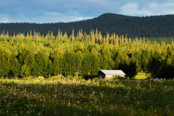 A small barn in front of summery taiga forest on a hillside of Northern Finland. - Photo, Image