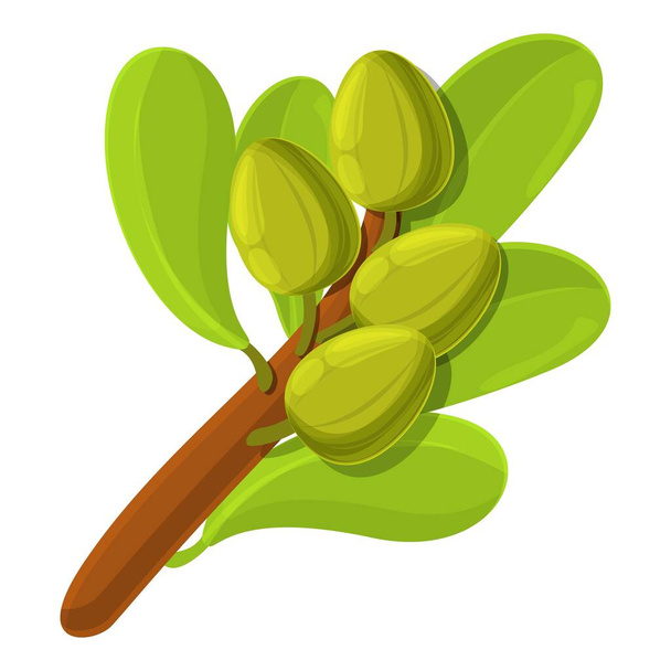 Shea tree branch icon, cartoon style - Vektor, Bild