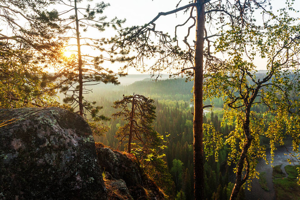 Kesäinen näkymä kukkulalta taiga-metsiin ja jokilaaksoon Oulangan kansallispuistossa, Pohjois-Suomi. - Valokuva, kuva