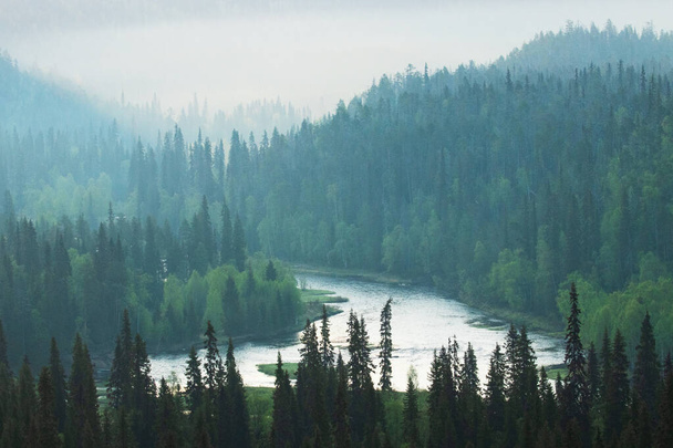 Nyári ködös folyó völgye között a taiga erdő Oulanka Nemzeti Park, Észak-Finnország. - Fotó, kép