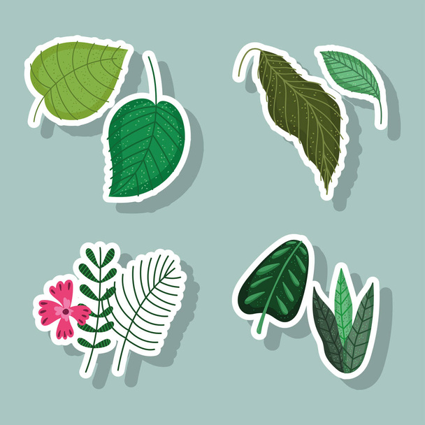 leaves flower branch nature foliage floral cartoon icons stickers - Vector, afbeelding