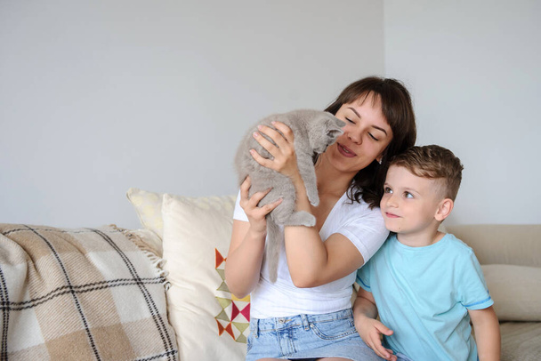close up photo of a young brunette and a 7-years boy playing with a gray kitten sitting on a sofa in a flat - Foto, Imagen