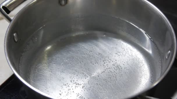 Θέρμανση νερού σε ένα τηγάνι - Πλάνα, βίντεο
