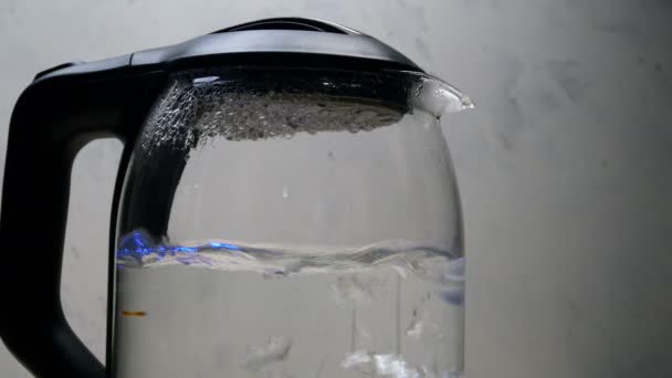 Zaaien water met bubbels kookt in transparant glas elektrische waterkoker op lichte achtergrond. Close-up. - Video
