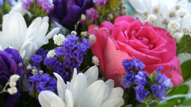 Ein schöner stilvoller Strauß aus verschiedenen bunten Blumen von Gänseblümchen, Rosen, Trockenblumen. Festlicher Brautstrauß aus weißen, rosa, blauen, lila, gelben Blumen - Filmmaterial, Video