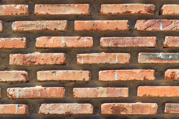 gros plan brique rouge maçonnerie mur fond - Photo, image